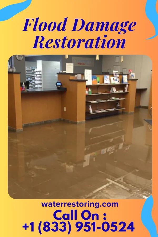 Flood Damage Restoration in Dieterich, IL