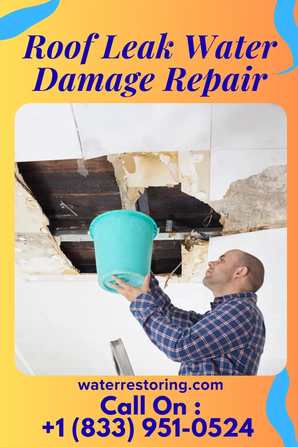 Roof Leak Water Damage Repair in Dieterich, IL