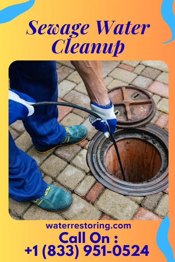 Sewage Water Cleanup in Dieterich, IL