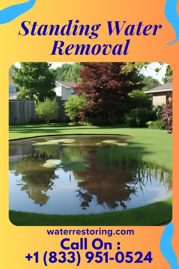 Standing Water Removal in Dieterich, IL